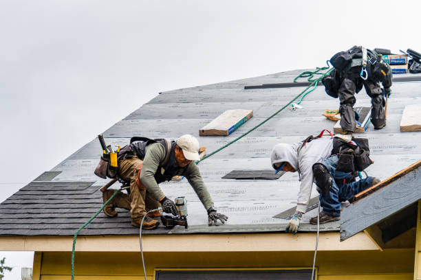 Professional Gutter Installation technician working in Shelby, IA
